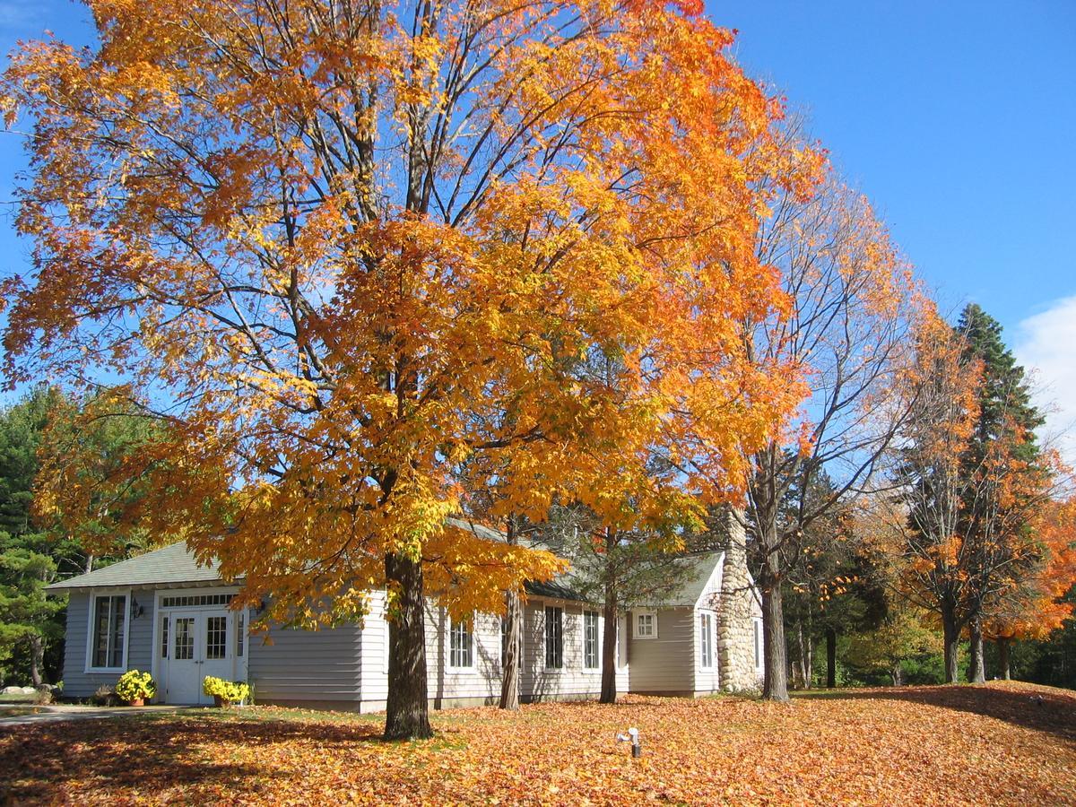 Tuxbury Pond Camping Resort Tiny House Murphy South Hampton Exterior foto