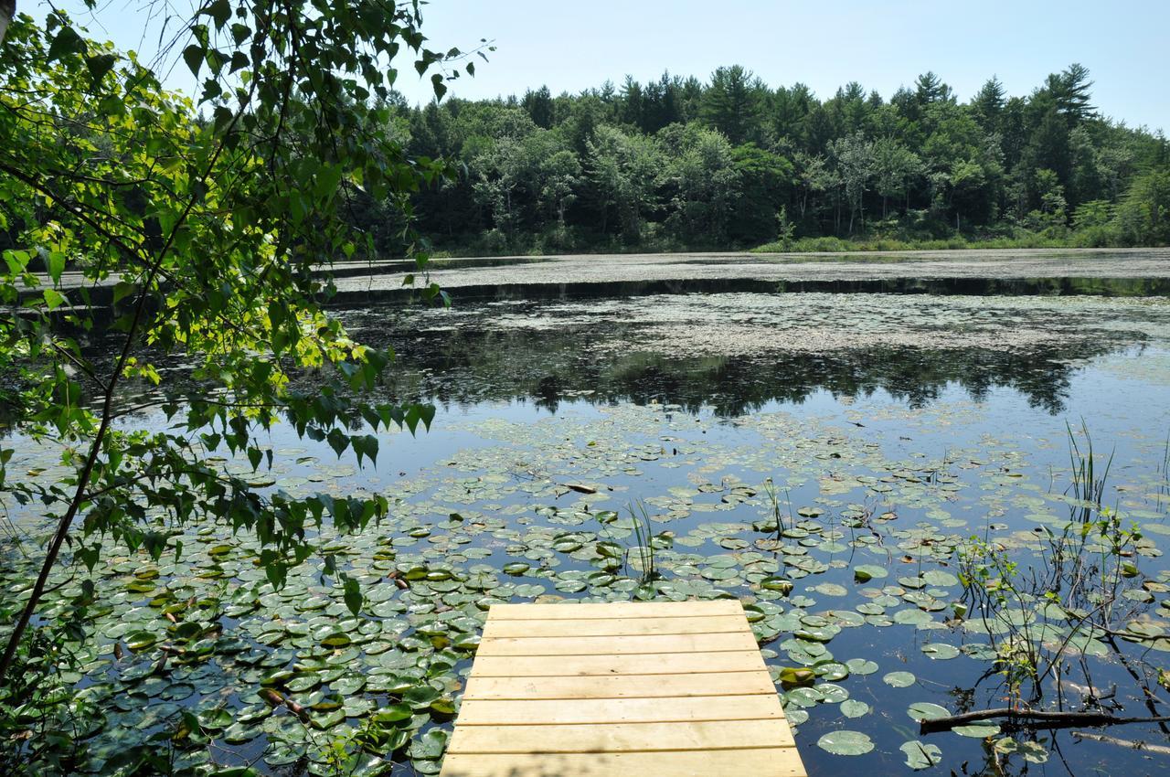 Tuxbury Pond Camping Resort Tiny House Murphy South Hampton Exterior foto
